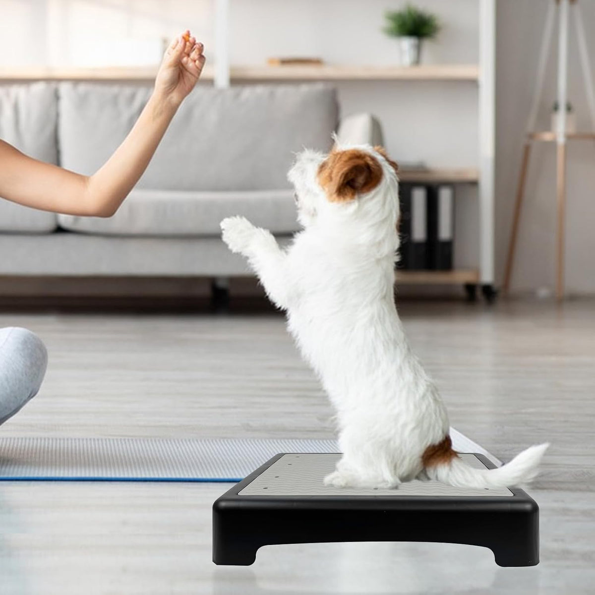 Dog Training Place Board with Non-Skid Surface, Dog Platform for Training, Portable Dog Agility Platform，Dog Training Stand, Dog Training Equipment Suitable for Small Dogs