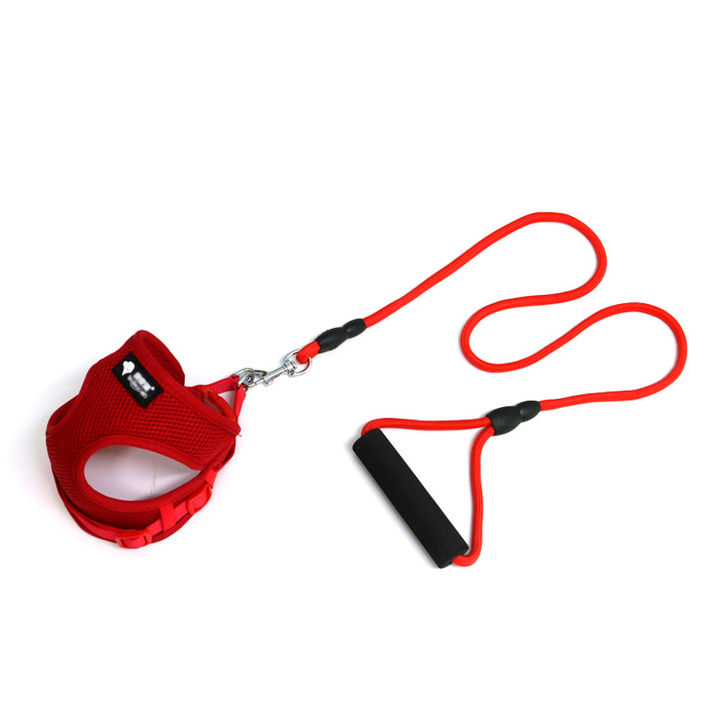 Dog Leash Dog Leash Dog Collar