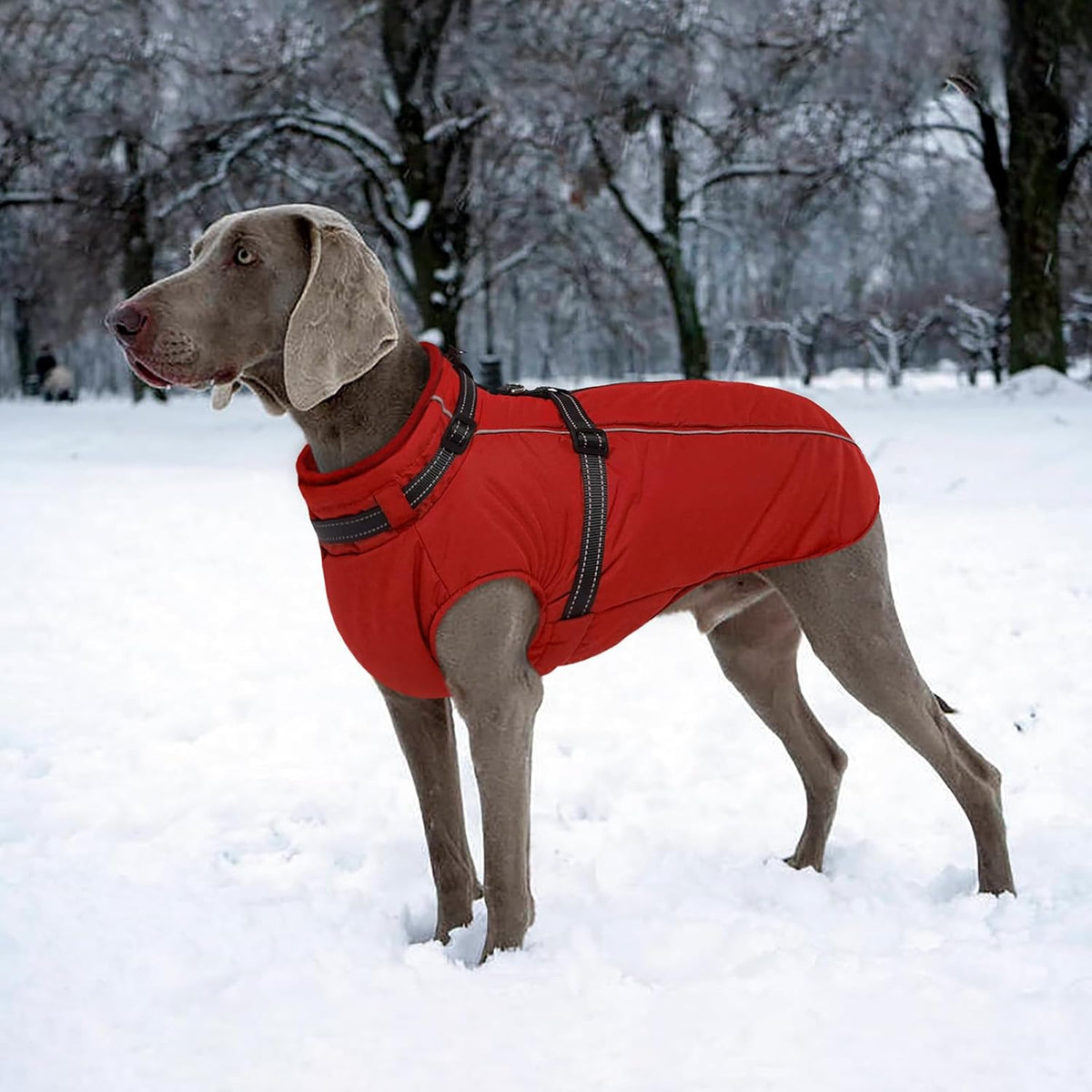 Waterproof Dog Jacket with Harness Built in Warm Dog Winter Coat