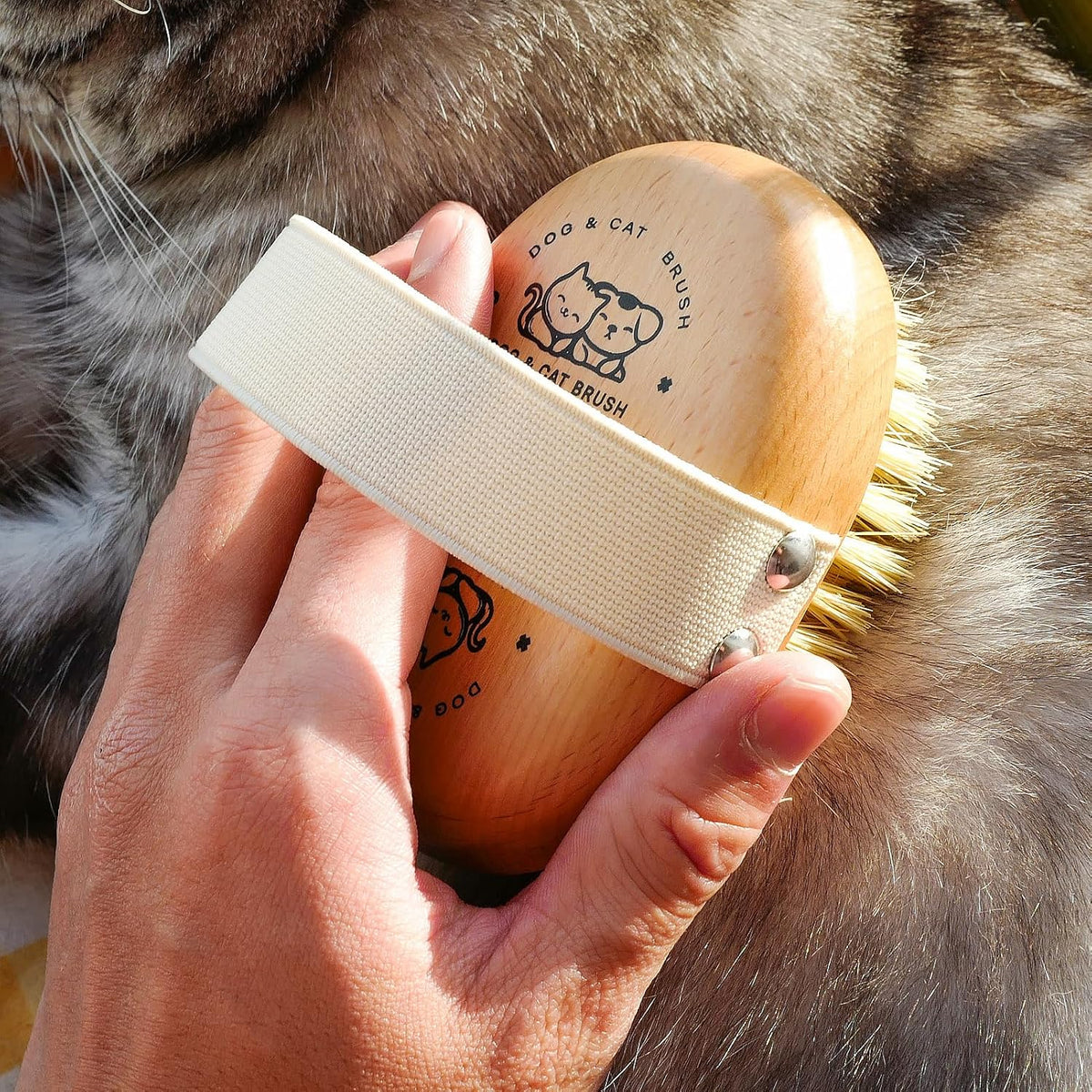 Soft Dog Brush, Bristle Brush for Dog Grooming