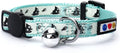 Glow in the Dark Cat Collar with Breakaway Safety Buckle & Bell Adjustable Kitten Collar, Teal