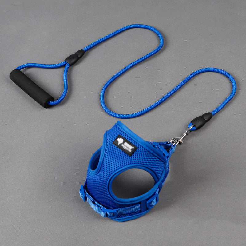 Dog Leash Dog Leash Dog Collar
