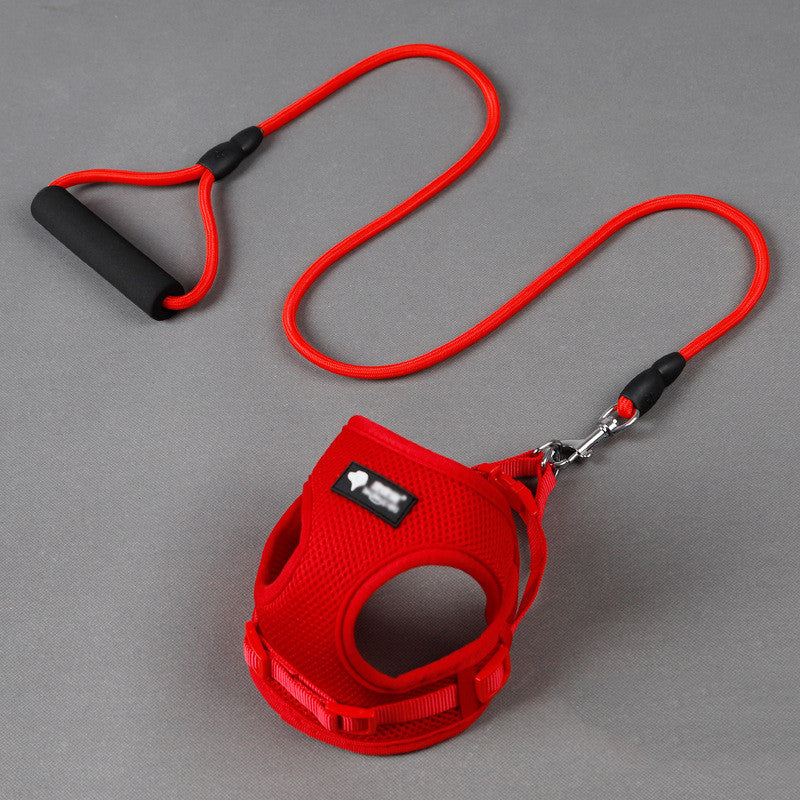 Dog Leash Dog Leash Dog Collar