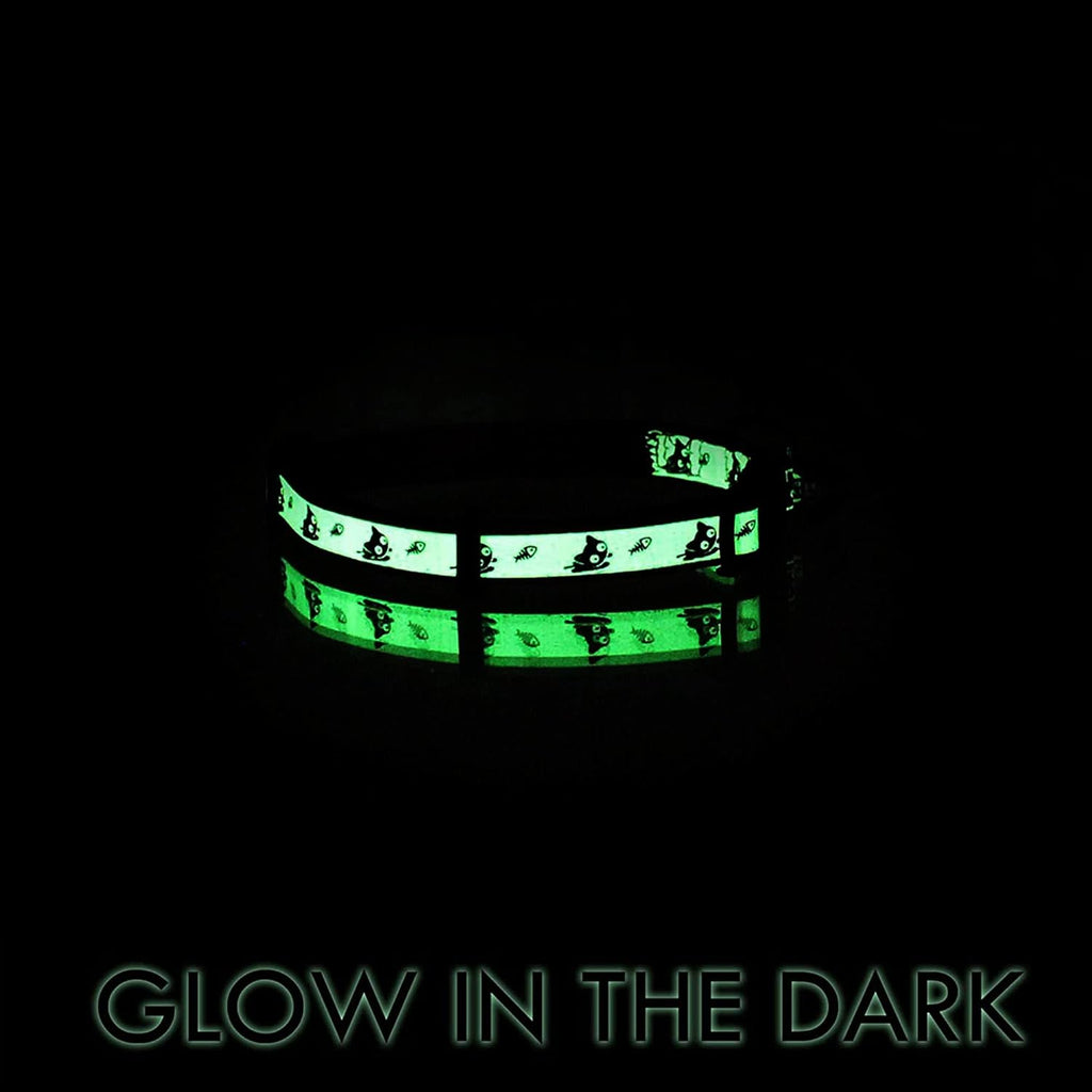 Glow in the Dark Cat Collar with Breakaway Safety Buckle & Bell Adjustable Kitten Collar, Teal
